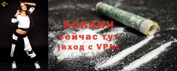 сатива Костерёво